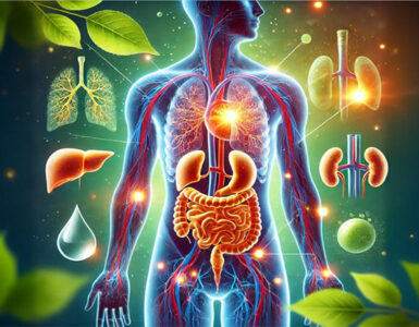 une image représentant le processus de détoxication dans le corps humain, avec les principaux organes mis en lumière et des éléments naturels symbolisant la pureté et la santé